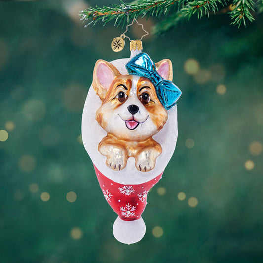 Cutie Corgi Claus