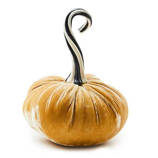 Twisted Stem Vanilla Velvet Pumpkin