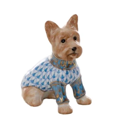 Yorkie in Sweater