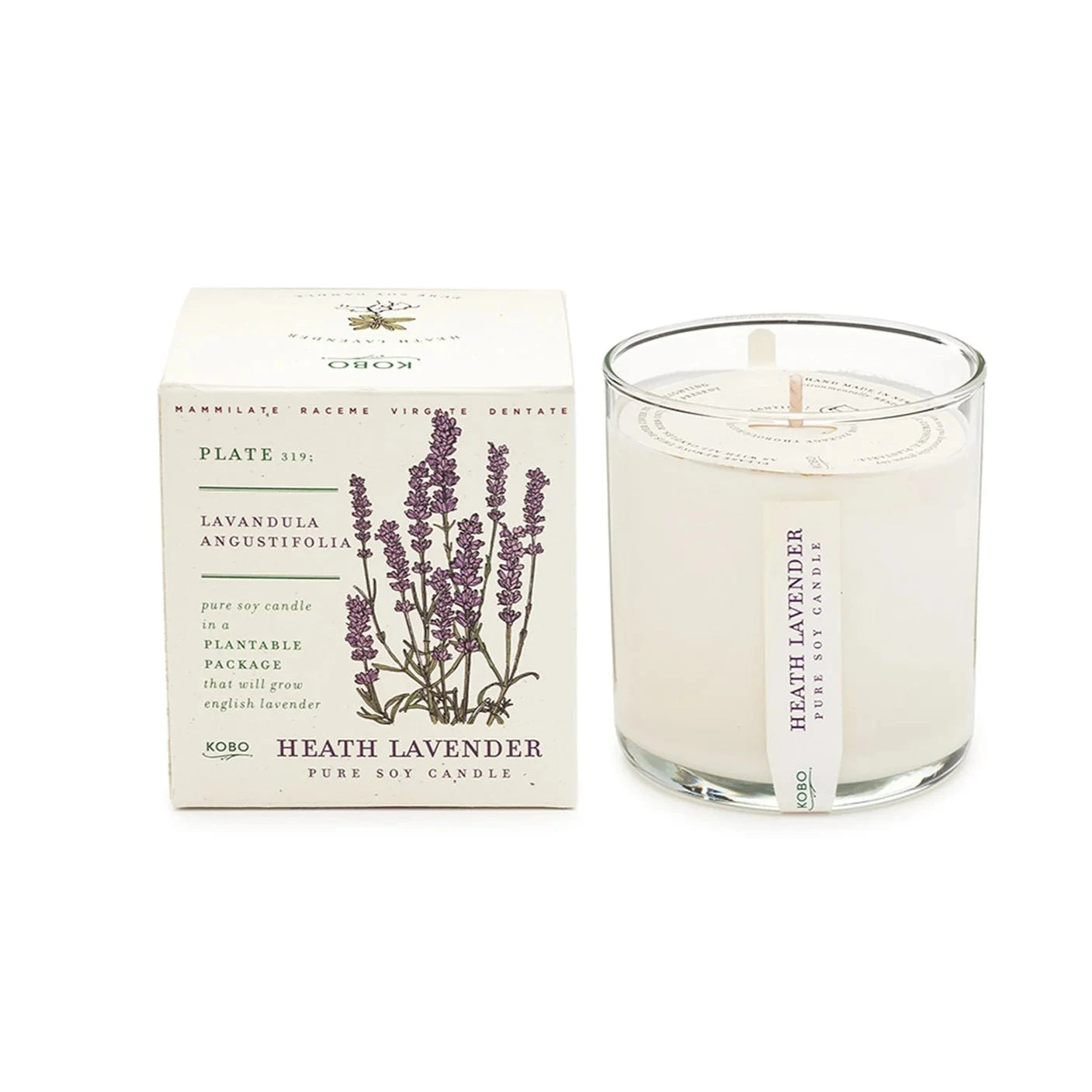 Plant the Box 9oz. Candle