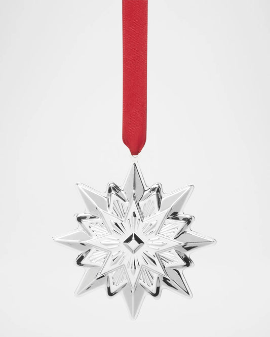 2024 8th Annual Star Ornament