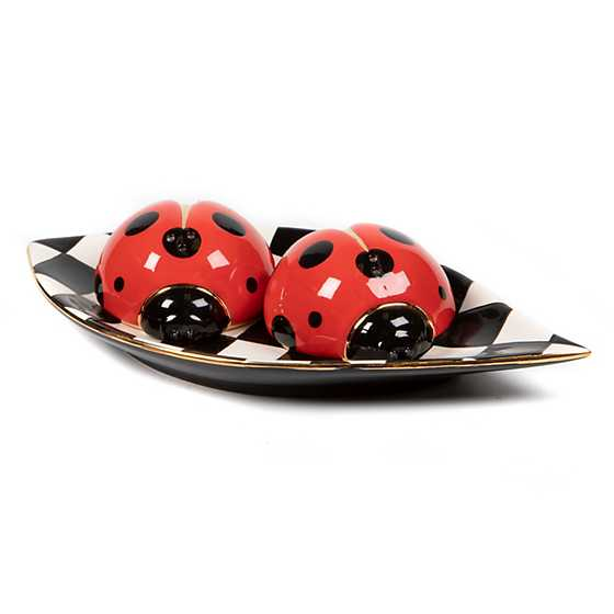 Ladybug Salt & Pepper Set