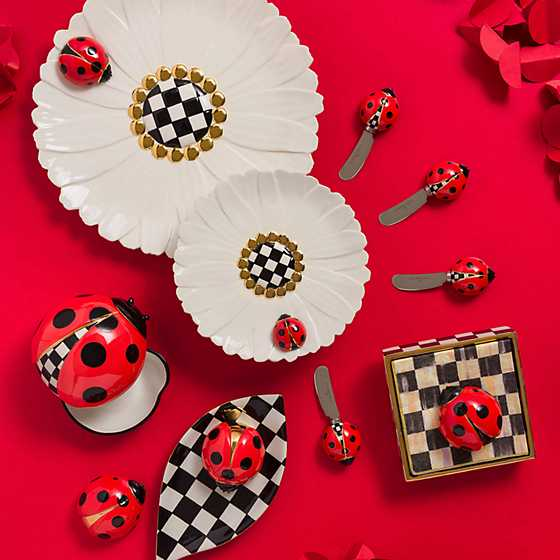 Ladybug Salt & Pepper Set